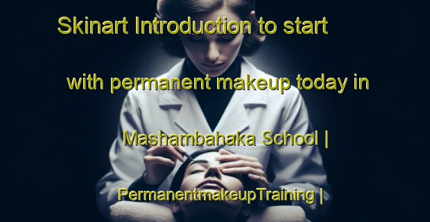 Skinart Introduction to start with permanent makeup today in Mashambahaka School | PermanentmakeupTraining | PermanentmakeupClasses | SkinartTraining-Zimbabwe